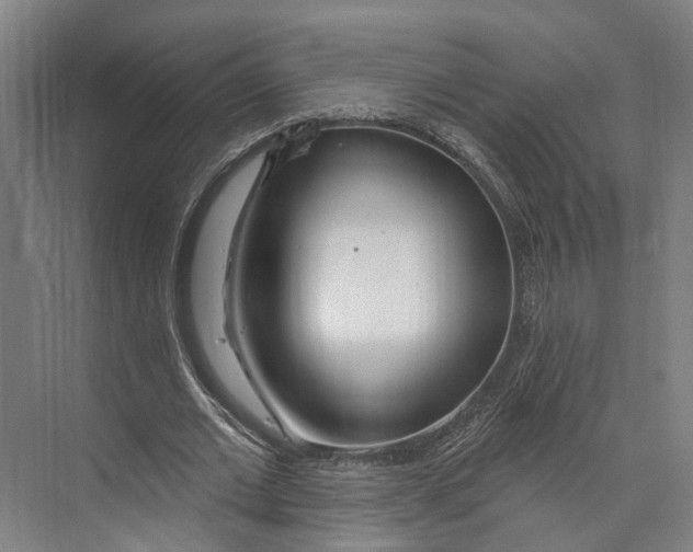 X0000073990677200609181743