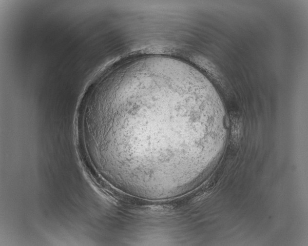 X0000073990678200609181743