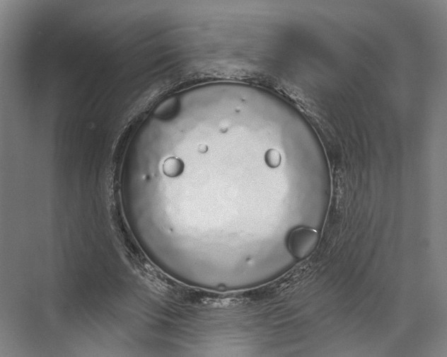 X0000073990679200609181743