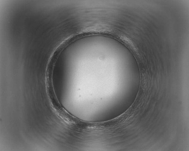 X0000073990680200609181743