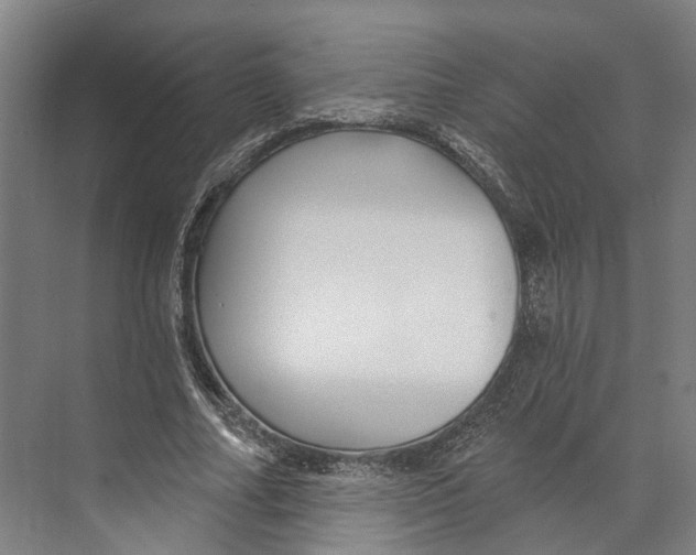 X0000073990682200609181743