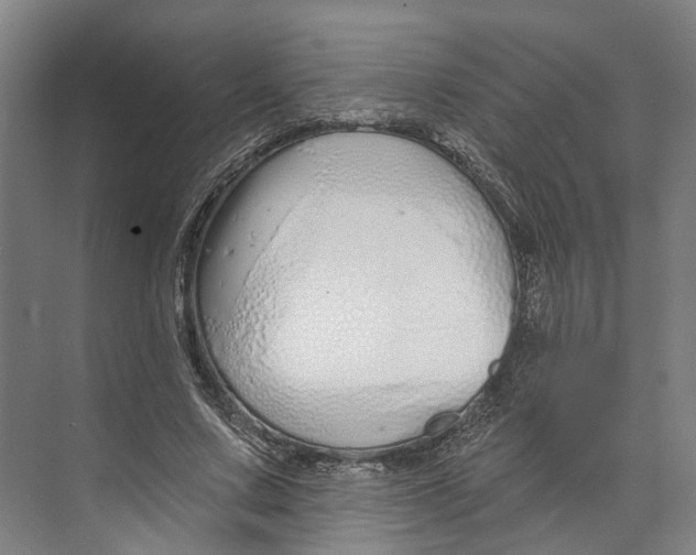 X0000073990683200609181743