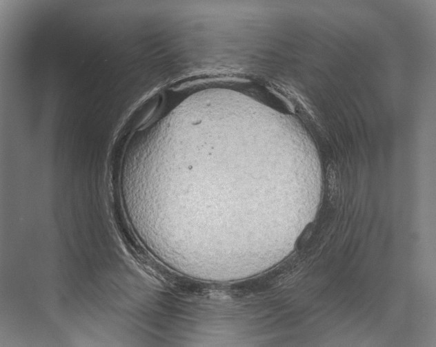 X0000073990684200609181743