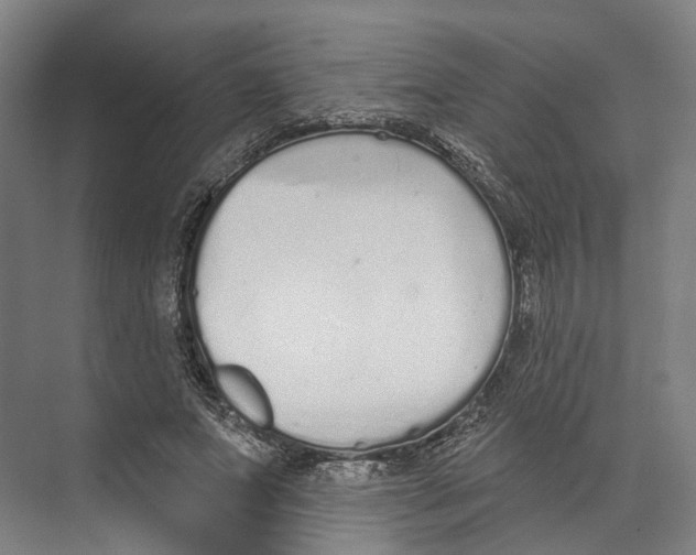 X0000073990687200609181743