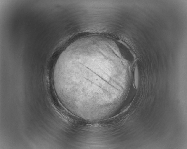 X0000073990688200609181743