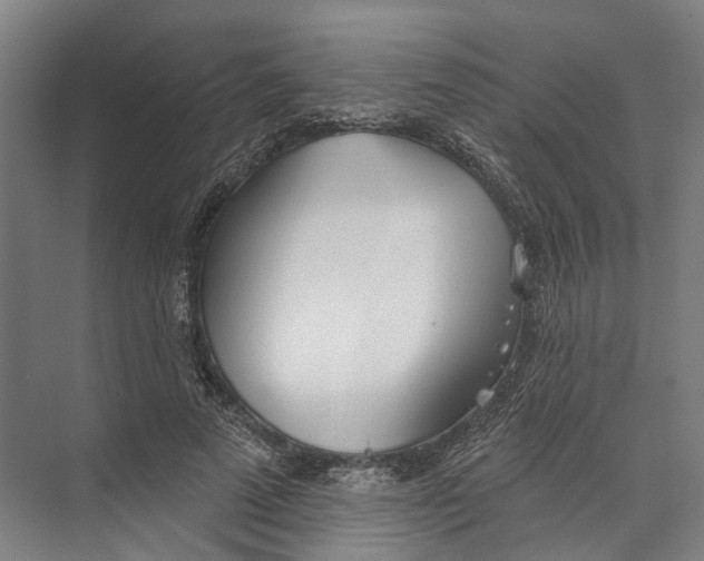 X0000073990689200609181743