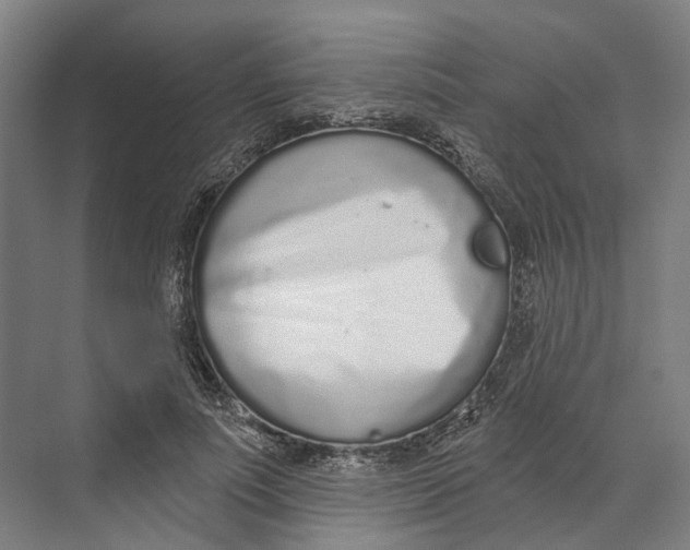 X0000073990691200609181743