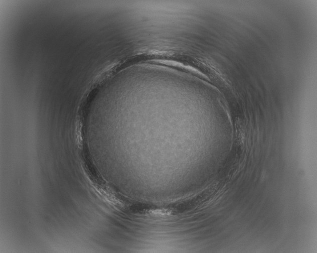 X0000073990692200609181743