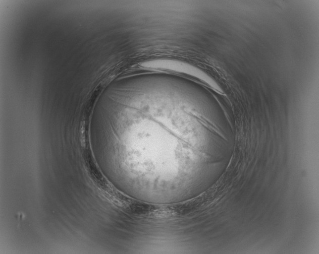 X0000073990696200609181743