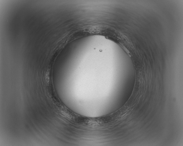 X0000073990697200609181743