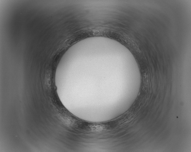 X0000073990698200609181743