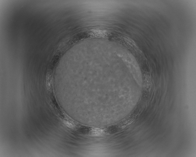 X0000073990701200609181742