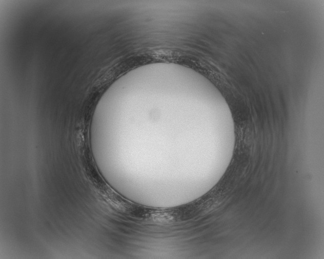 X0000073990702200609181742