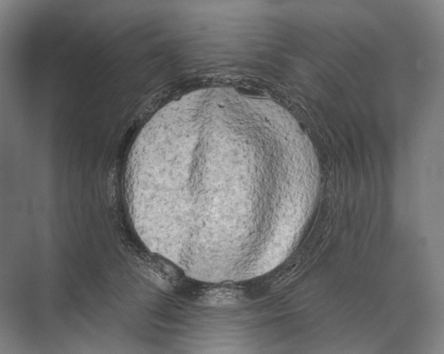 X0000073990708200609181742