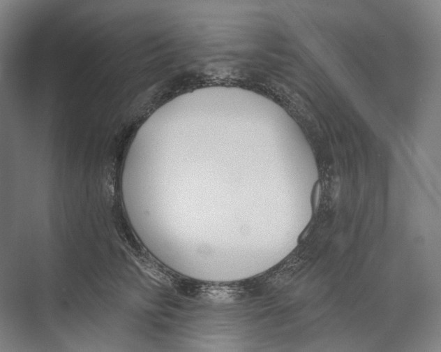 X0000073990710200609181742