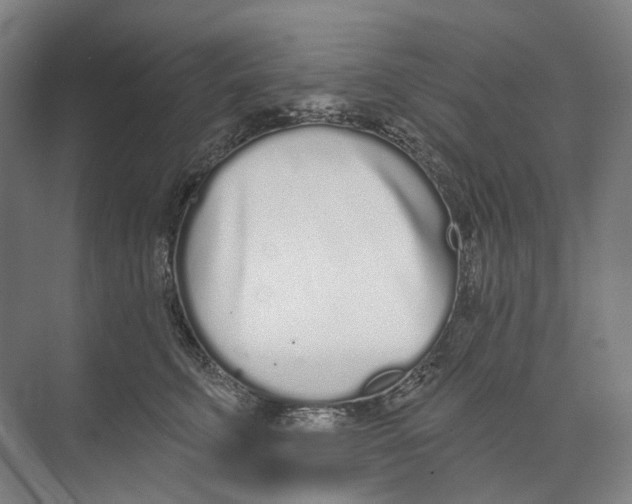 X0000073990711200609181742