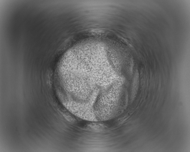 X0000073990712200609181742