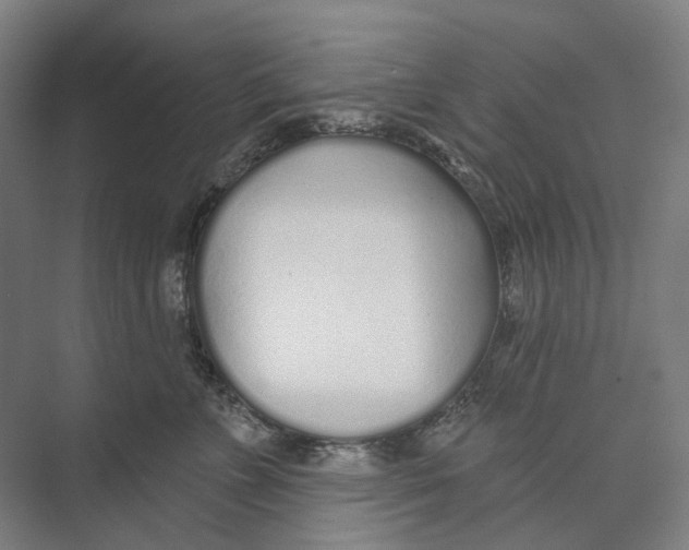 X0000073990715200609181742