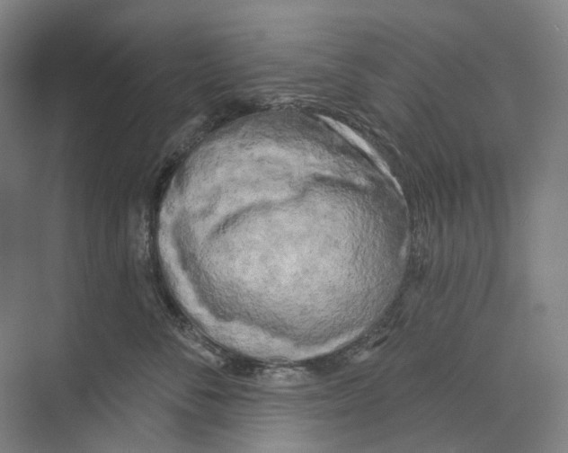 X0000073990716200609181742