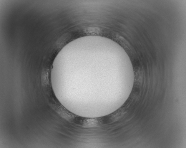 X0000073990717200609181742