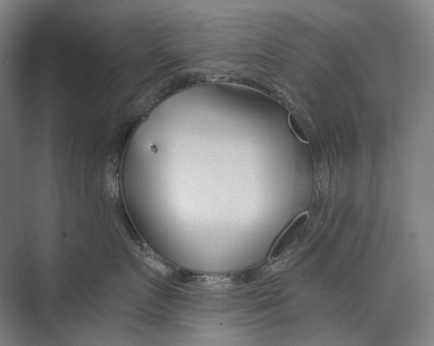 X0000073990719200609181742