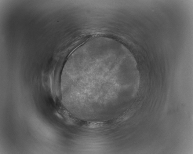 X0000073990720200609181742