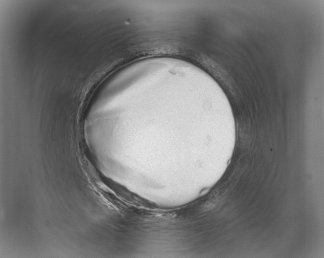 X0000073990721200609181741