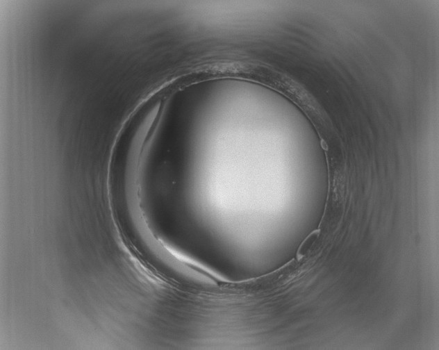 X0000073990722200609181741