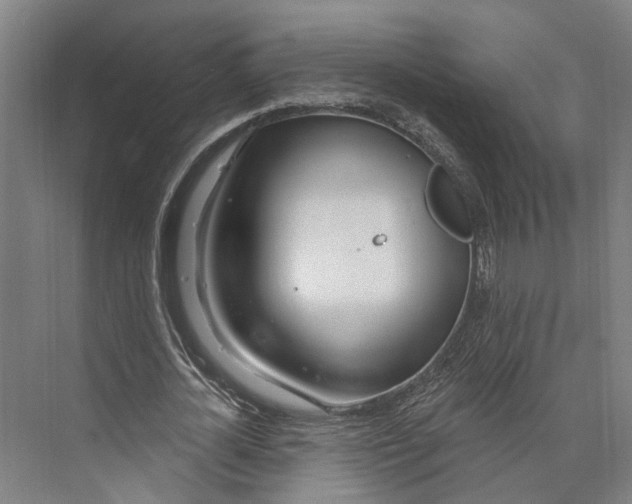 X0000073990724200609181741