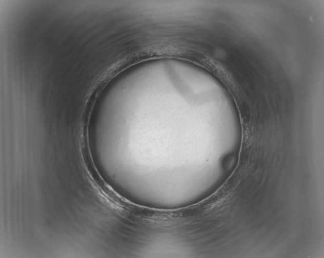 X0000073990725200609181741