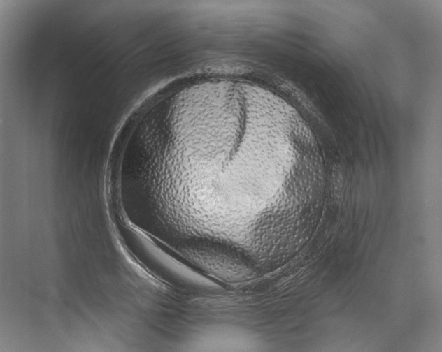 X0000073990726200609181741