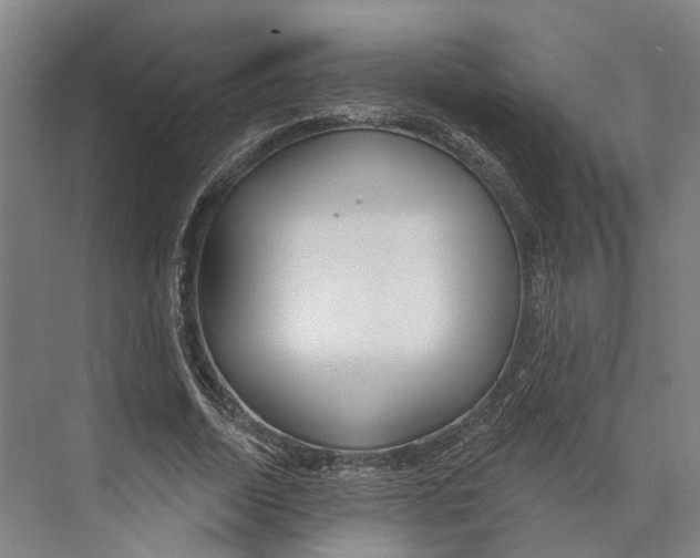 X0000073990730200609181741