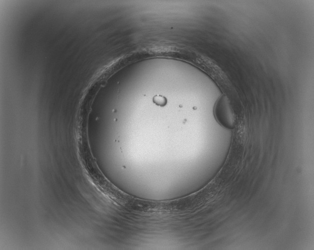 X0000073990732200609181742