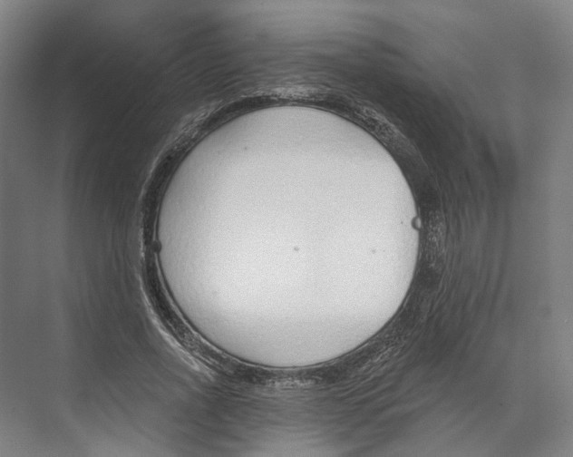 X0000073990734200609181742