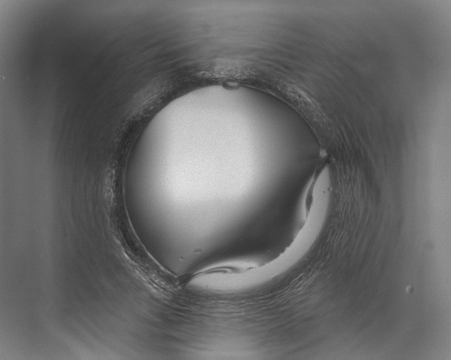 X0000073990735200609181742