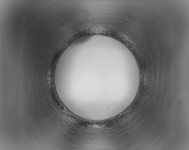 X0000073990737200609181742