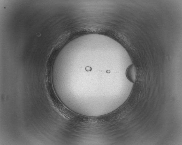 X0000073990738200609181742