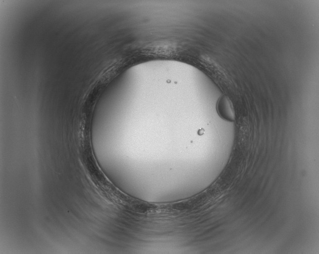 X0000073990739200609181742