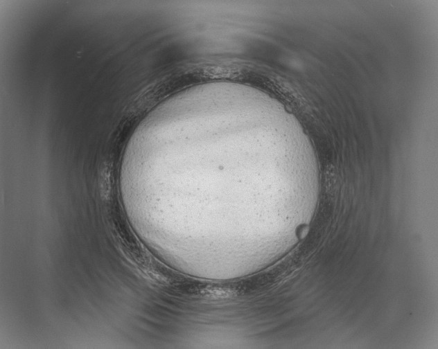 X0000073990741200609181742