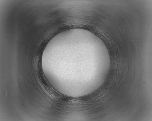 X0000073990742200609181742