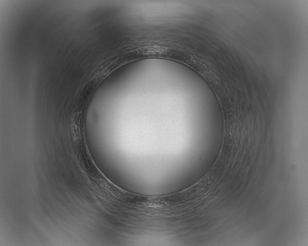 X0000073990743200609181742