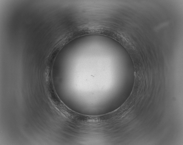 X0000073990744200609181742