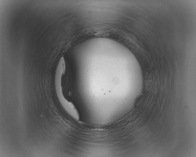 X0000073990748200609181742