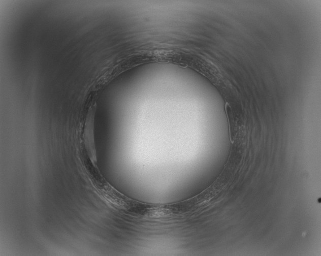 X0000073990750200609181742