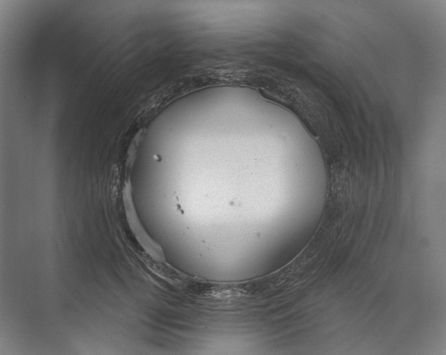 X0000073990752200609181742