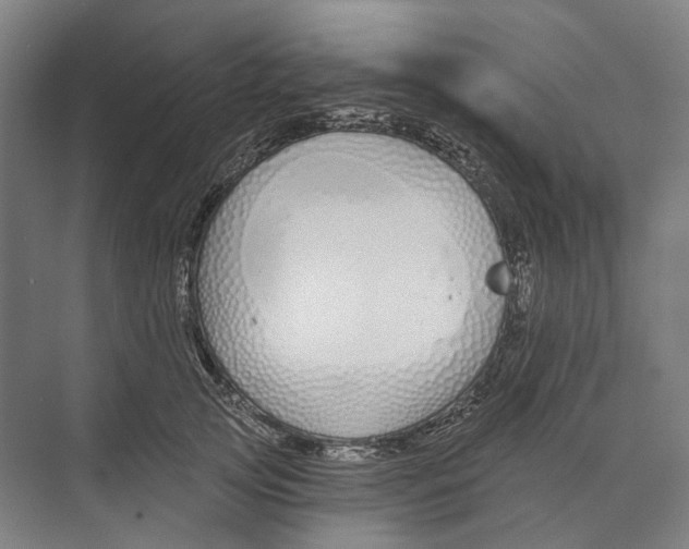 X0000073990753200609181742