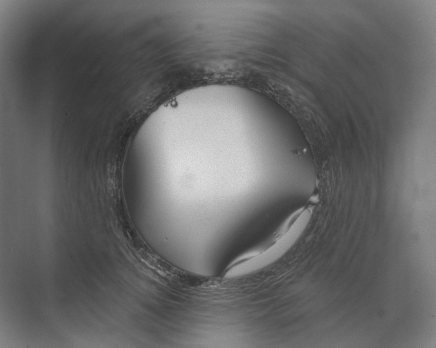 X0000073990756200609181742