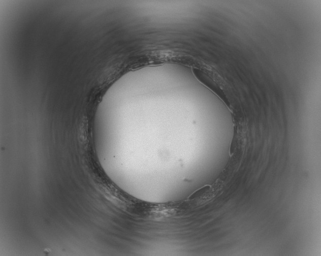 X0000073990760200609181742