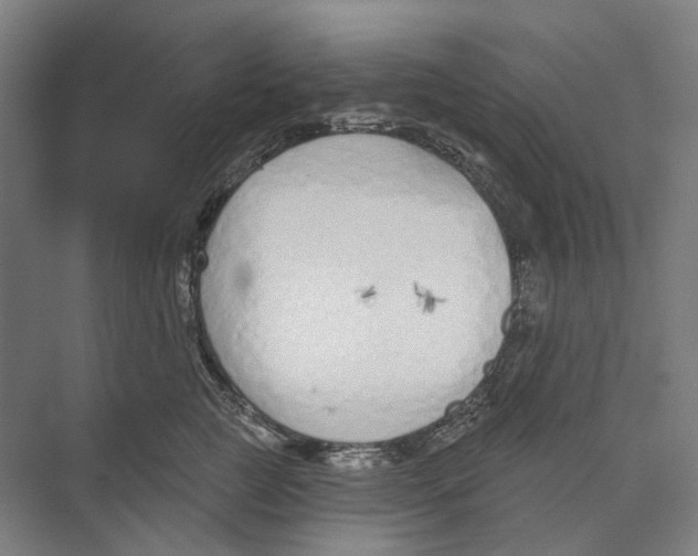 X0000073990761200609181742