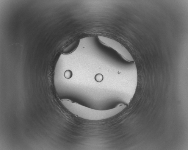 X0000073990762200609181742